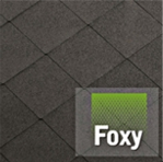 foxy cat